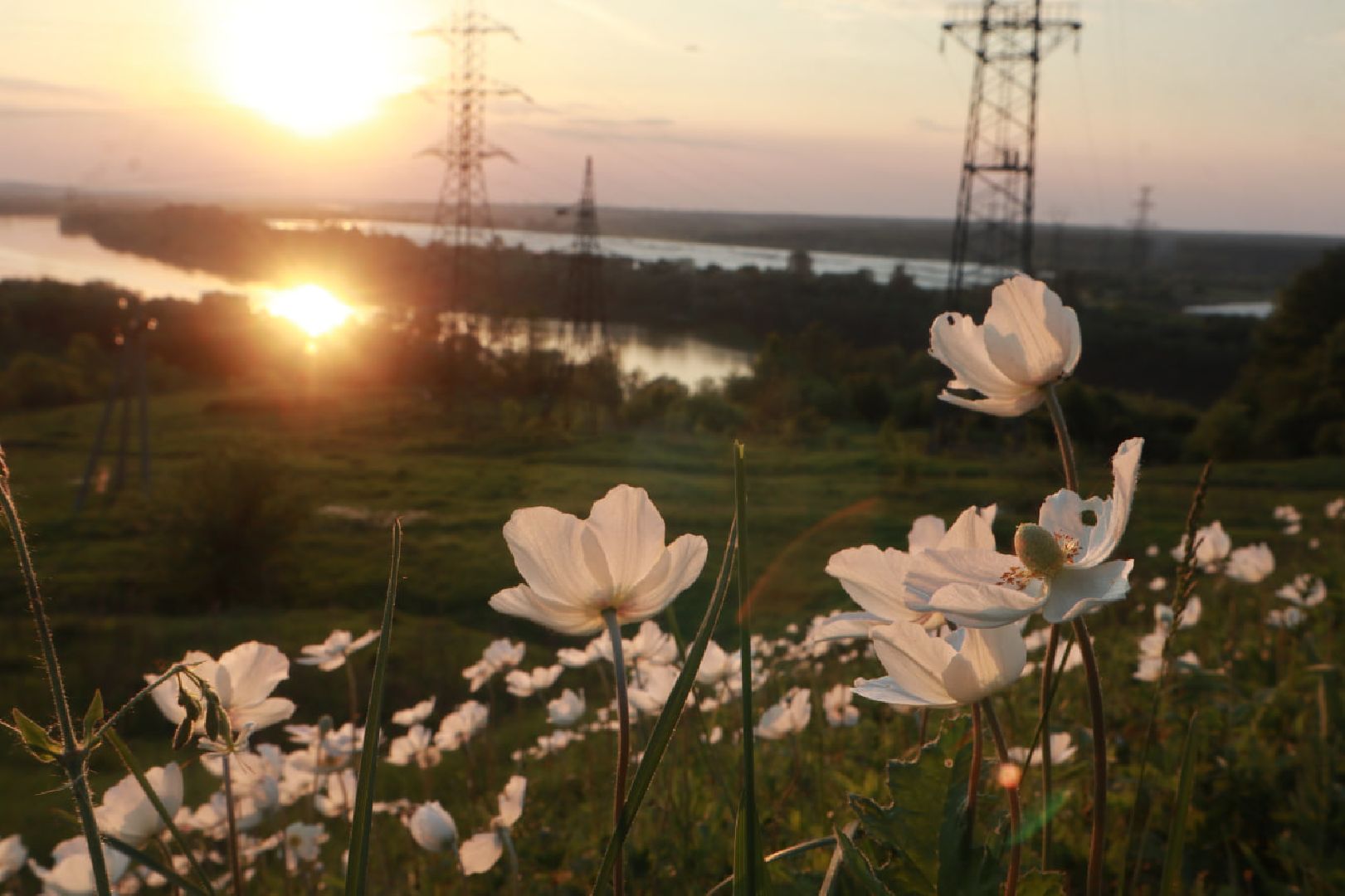 Пущино, экология, туризм