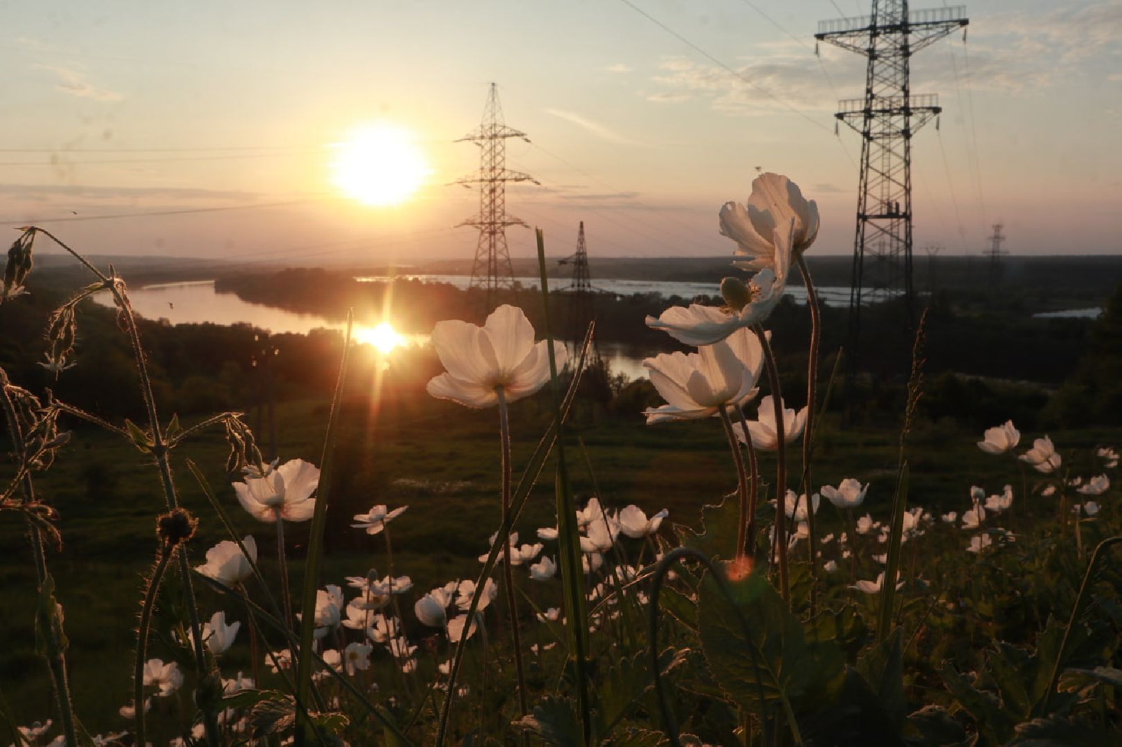 Пущино, экология, туризм