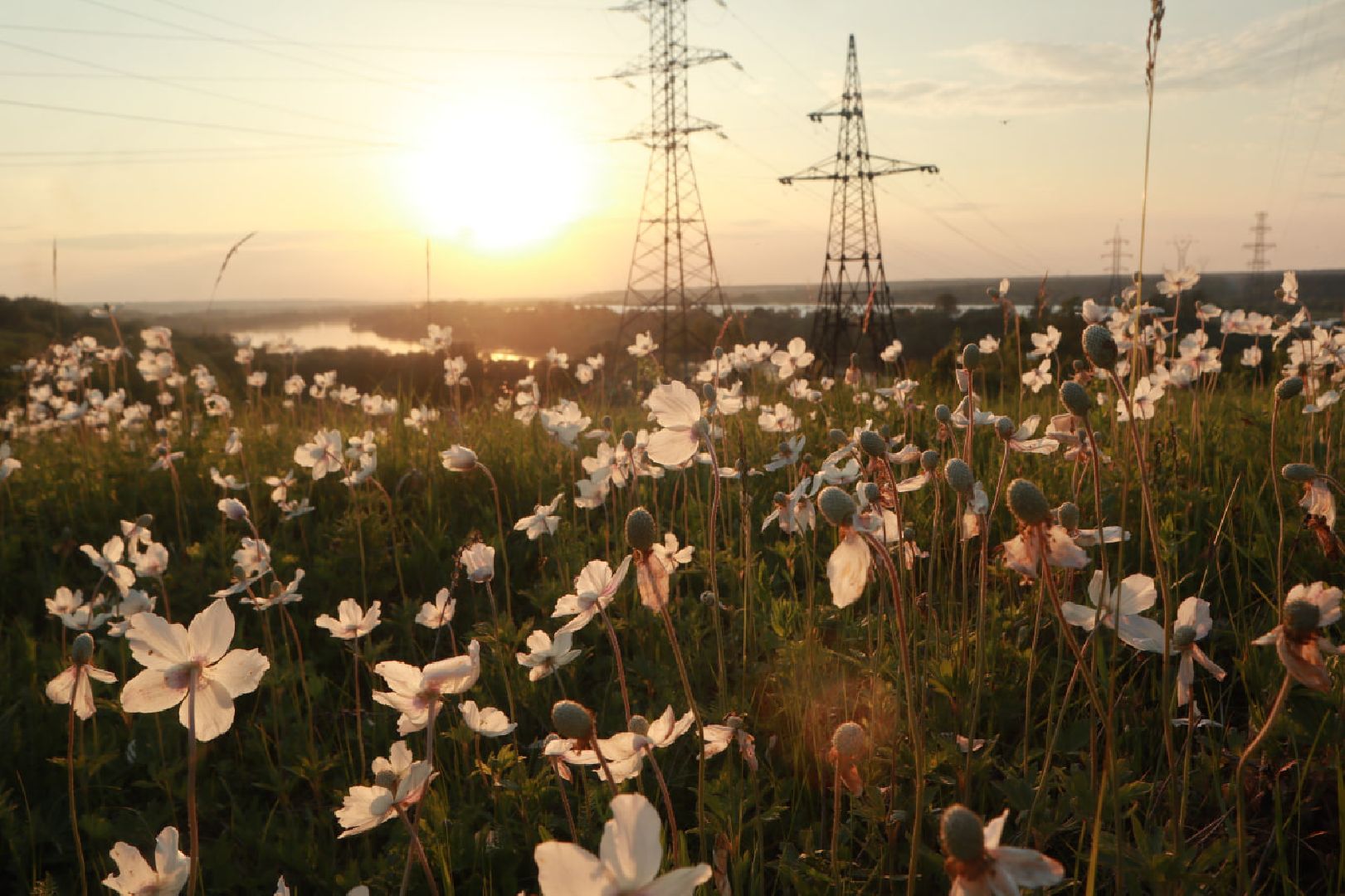 Пущино, экология, туризм