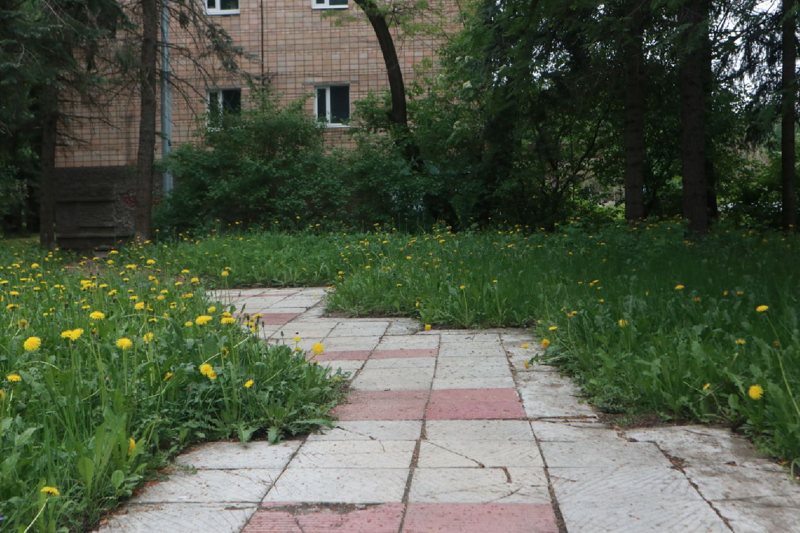 Пущино, благоустройство