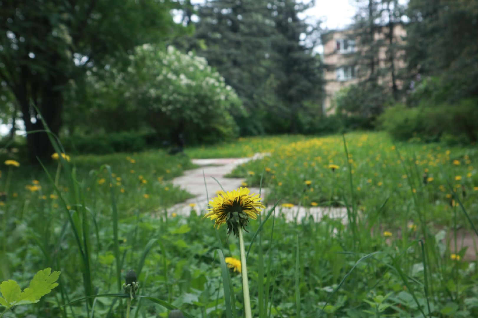 Пущино, благоустройство