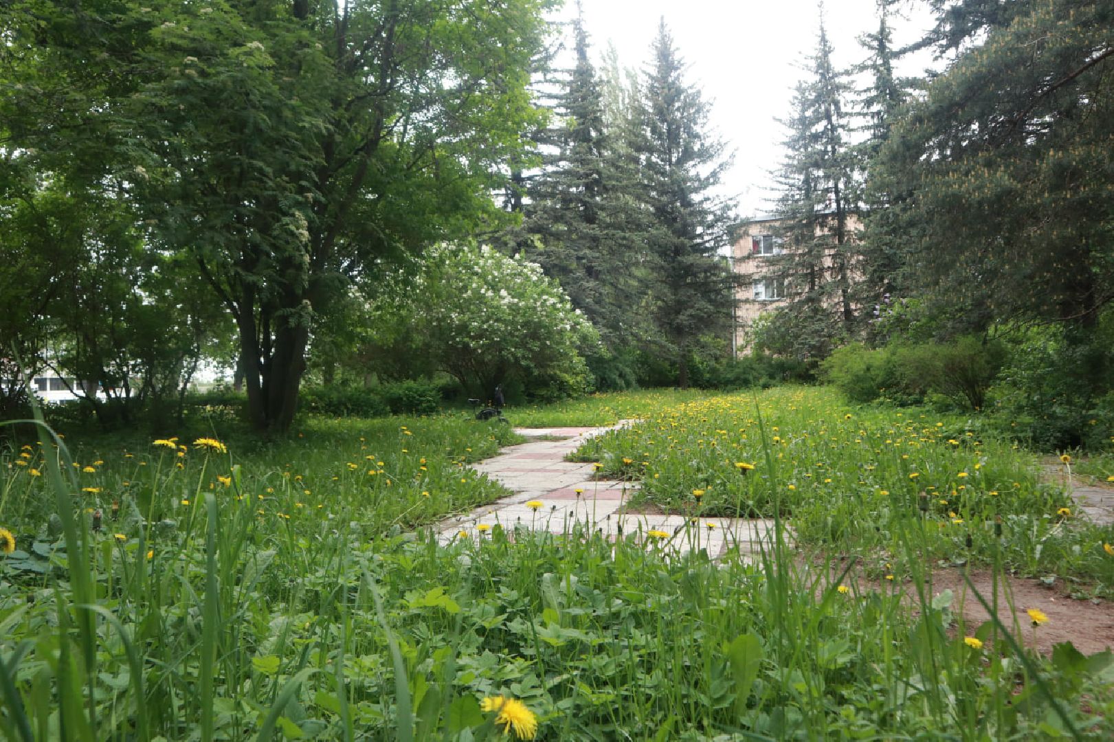 Пущино, благоустройство