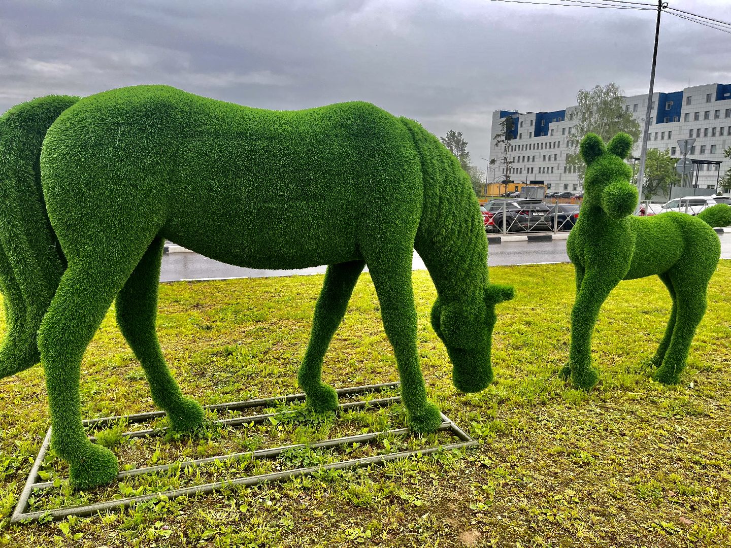 Наро-Фоминск, благоустройство, топиарии, перинатальный центр, арт-объект