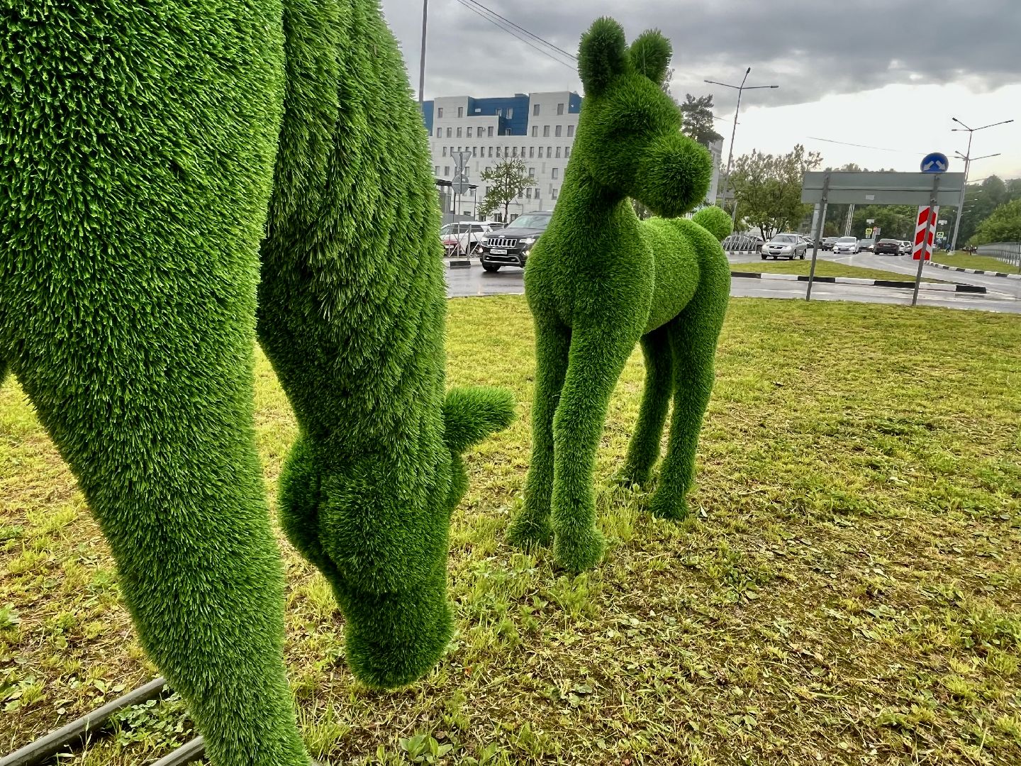 Наро-Фоминск, благоустройство, топиарии, перинатальный центр, арт-объект