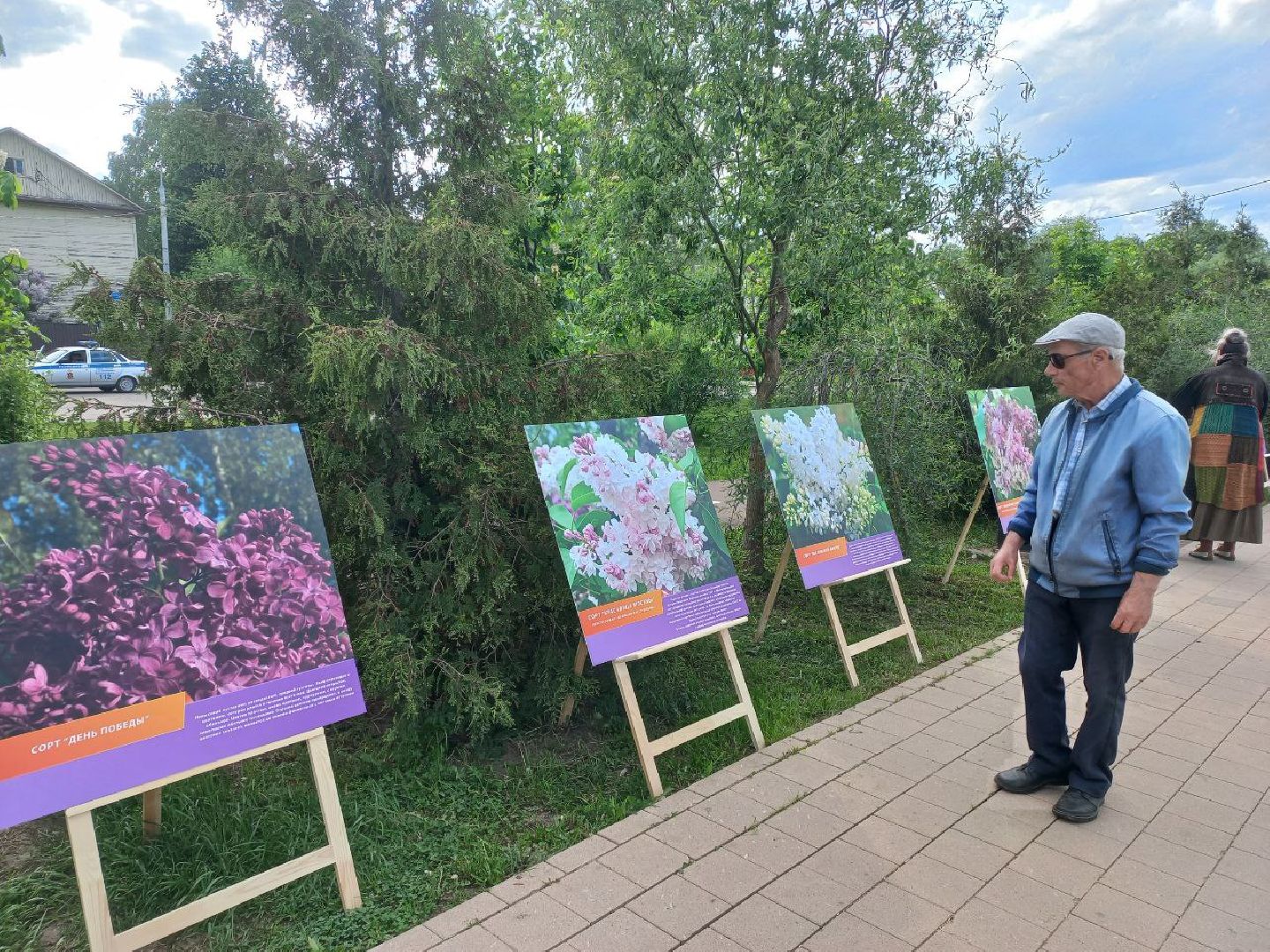 Солнечногорск, сирень, выставка, набережная, праздник