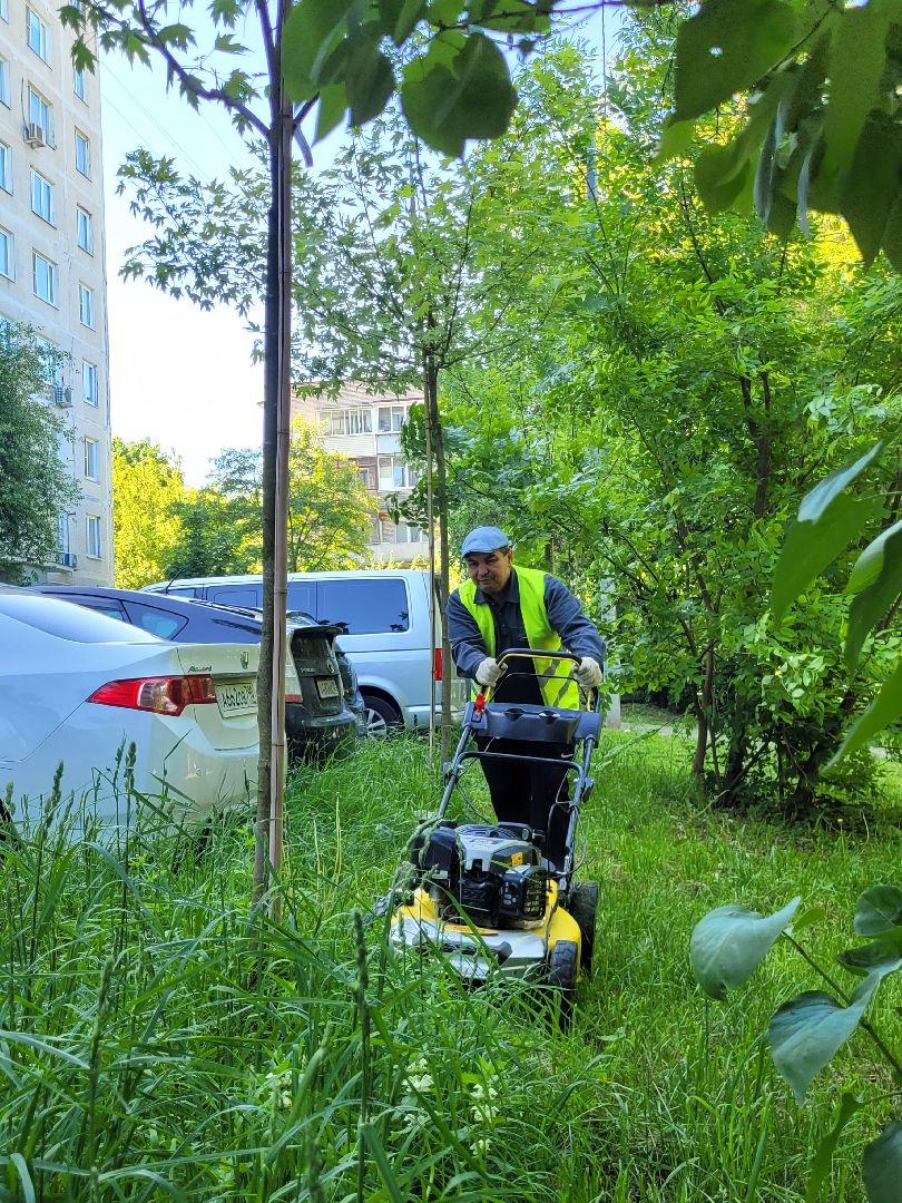жкх; видное; покос; благоустройство
