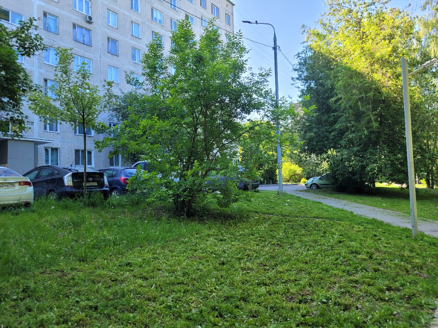 жкх; видное; покос; благоустройство