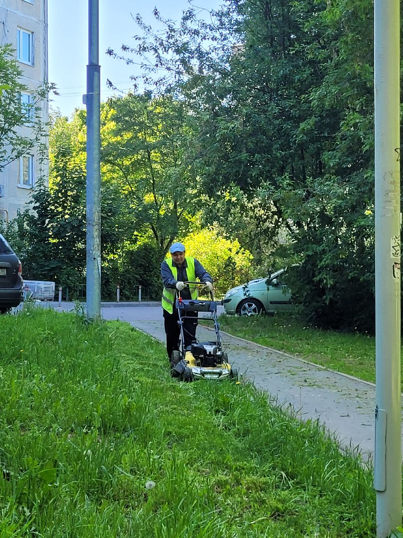 жкх; видное; покос; благоустройство