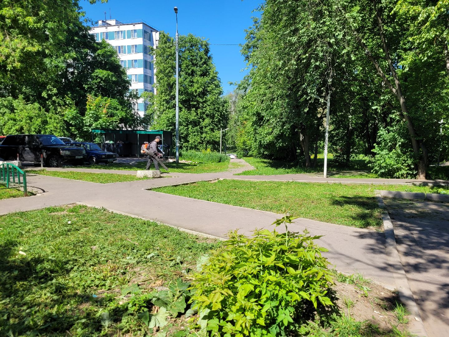 жкх; видное; покос; благоустройство