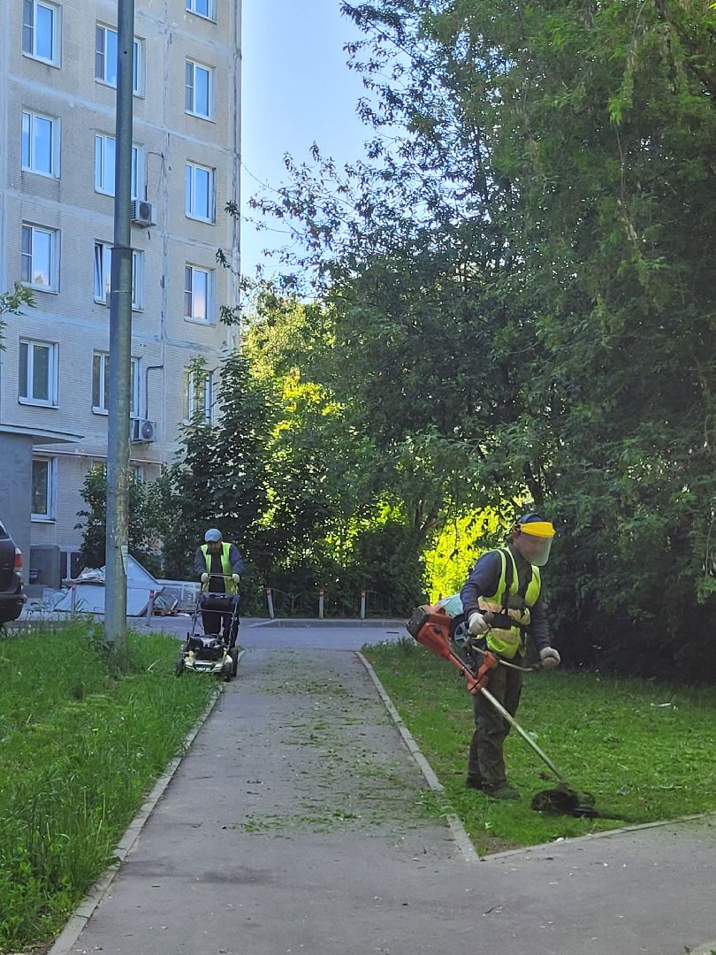 жкх; видное; покос; благоустройство