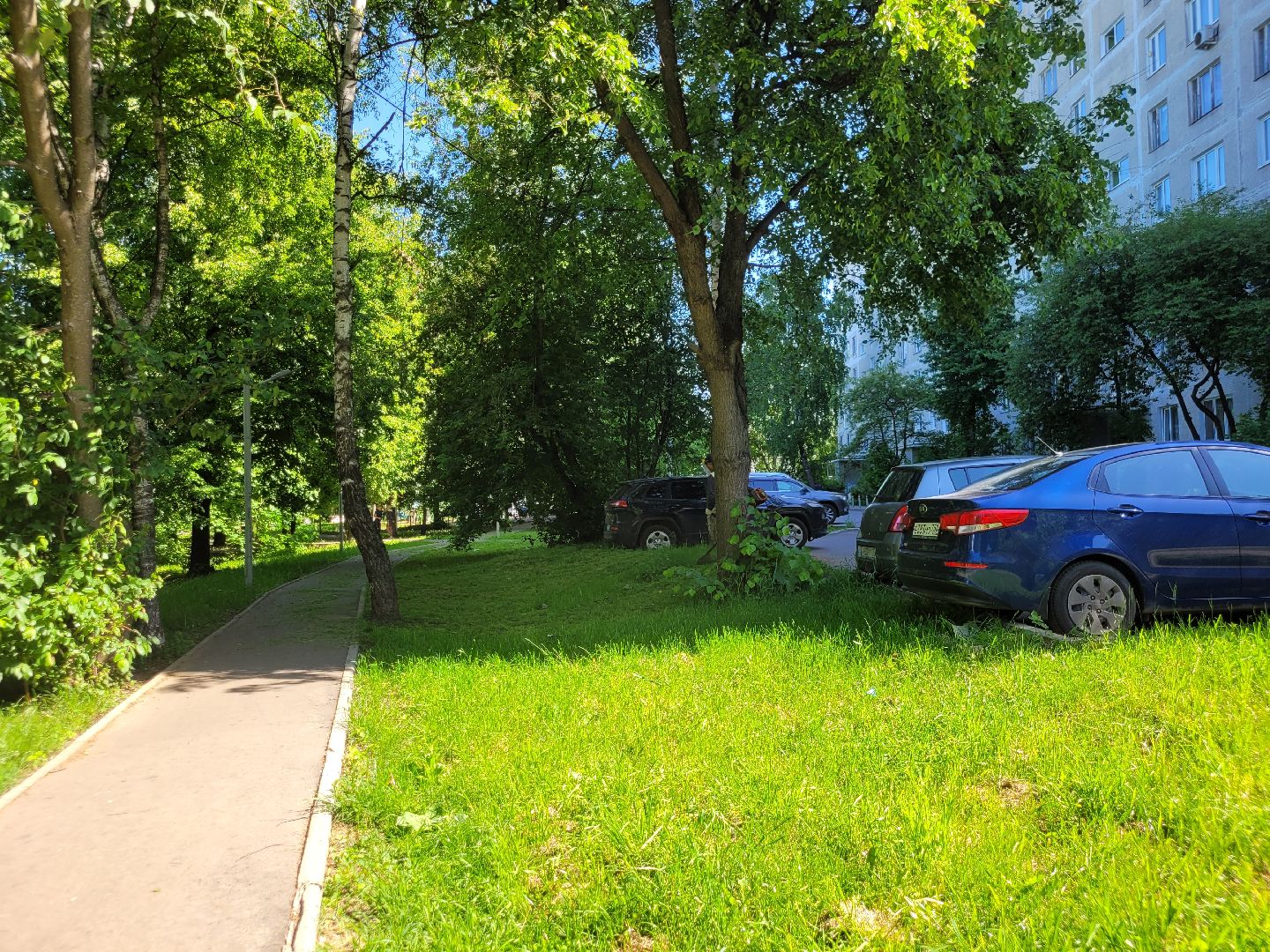 жкх; видное; покос; благоустройство