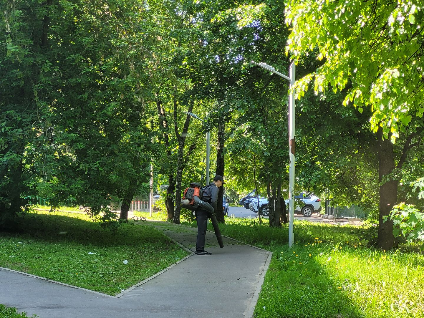 жкх; видное; покос; благоустройство