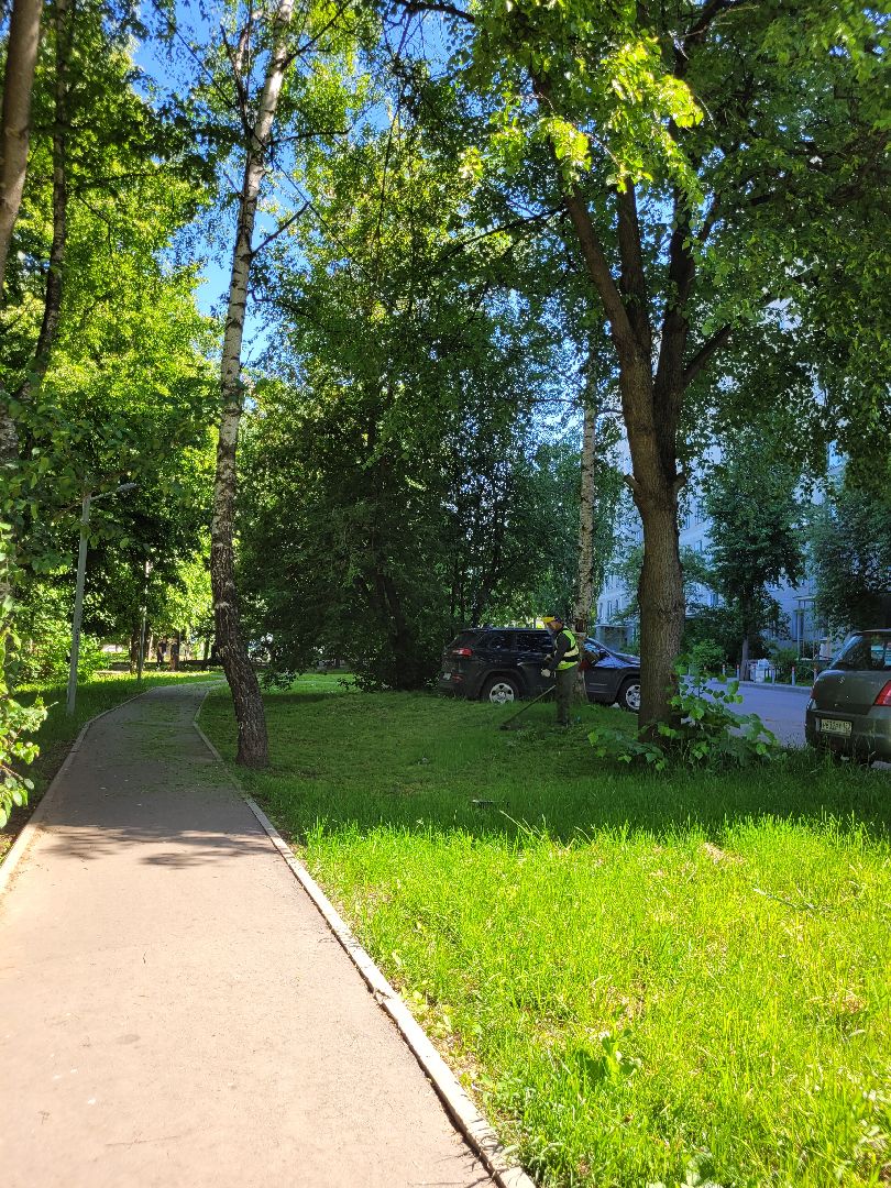 жкх; видное; покос; благоустройство