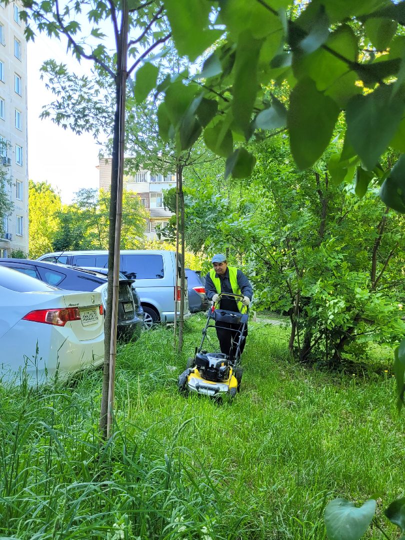 жкх; видное; покос; благоустройство