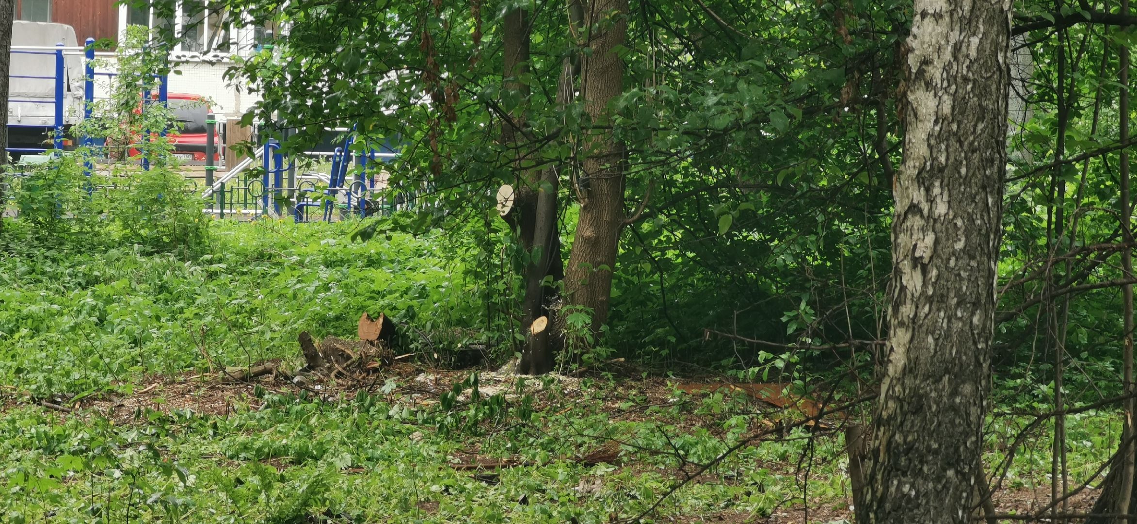 благоустройство, комфортная среда, парки подмосковья,