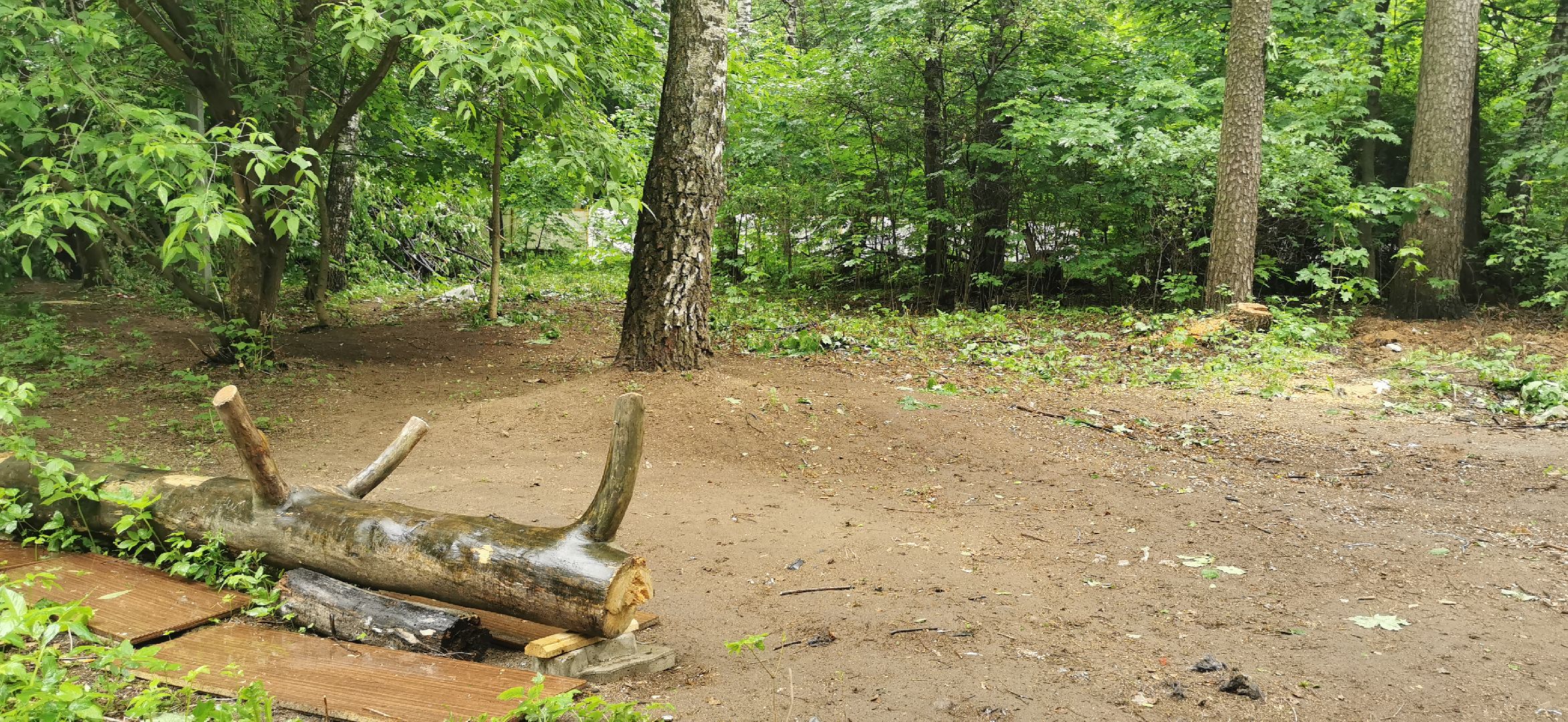 благоустройство, комфортная среда, парки подмосковья,