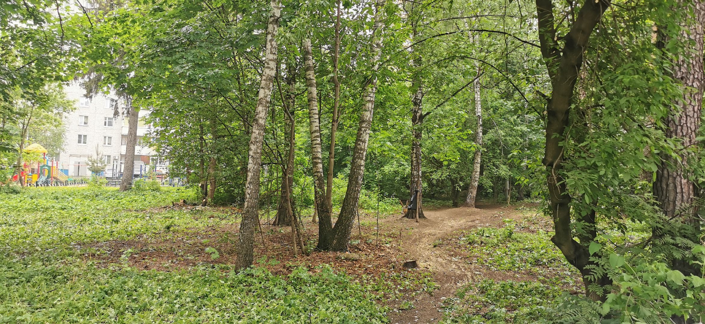 благоустройство, комфортная среда, парки подмосковья,