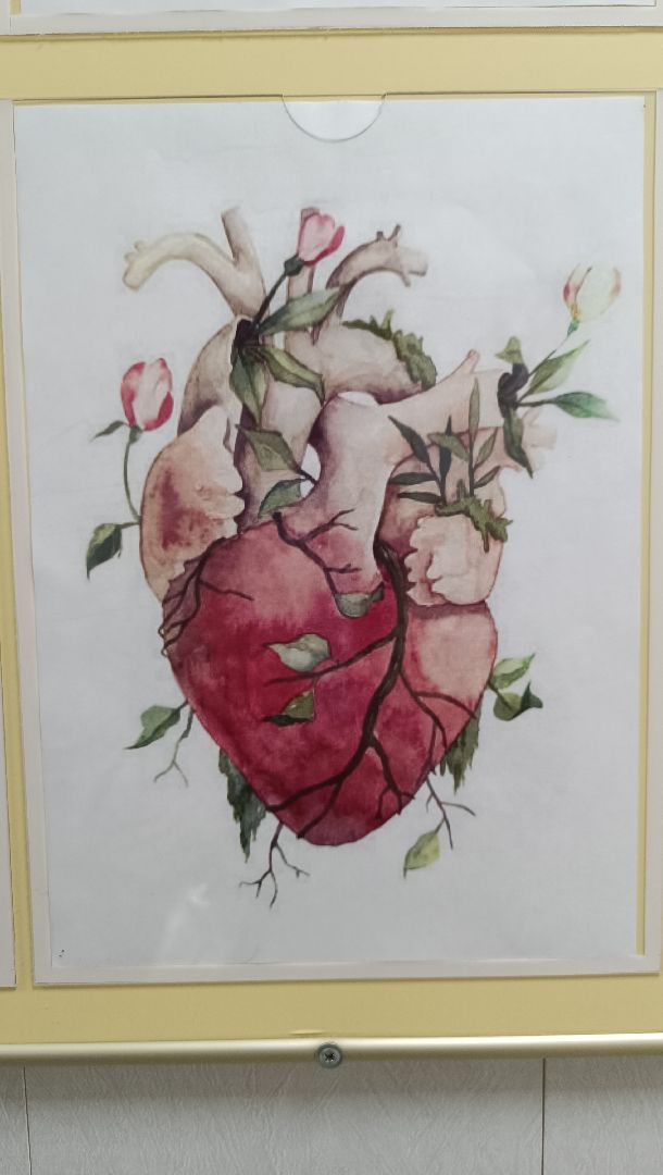 Лобня, медицина, гипертония