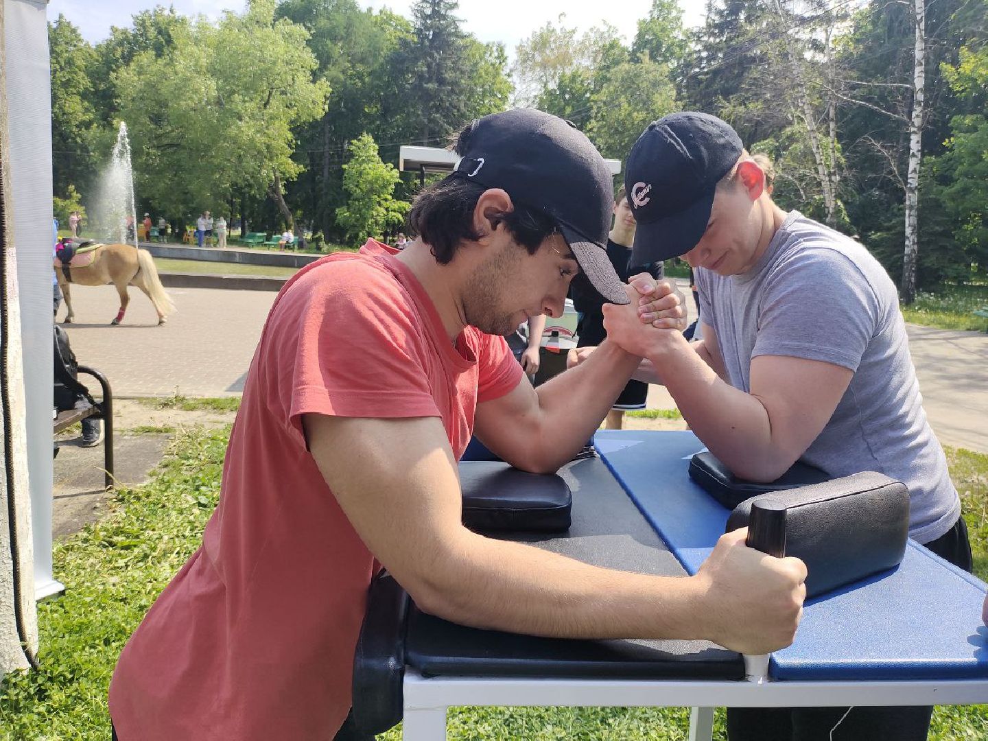 нетипичные, парки, сквер, 28 квартал, программа