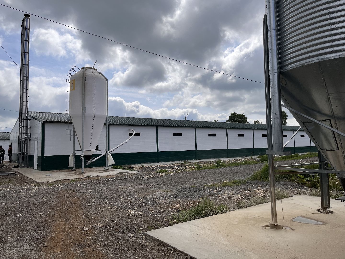 Шаховская, Птицеферма, строительство