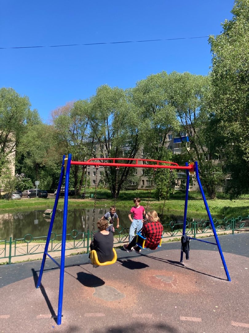 Солнечногорск, Рекинцо, утки, птицы, пополнение