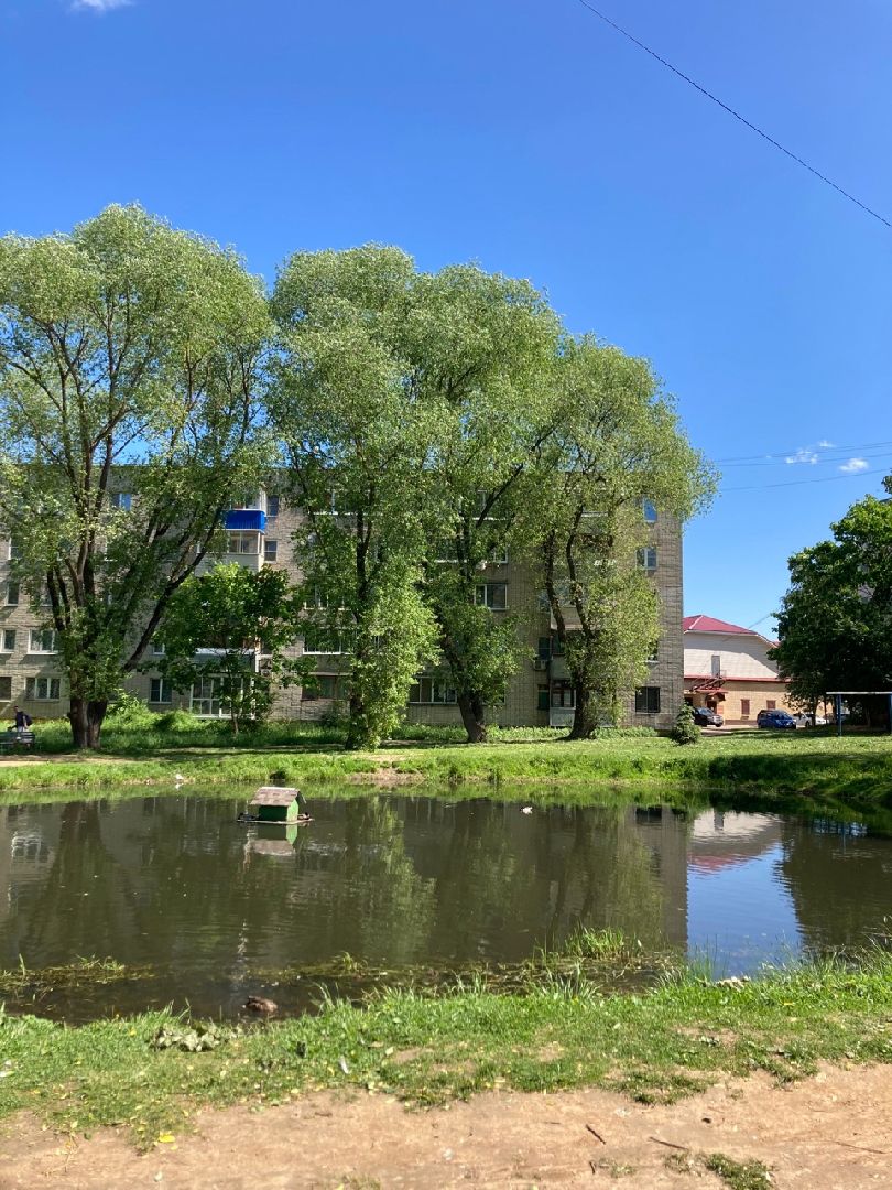 Солнечногорск, Рекинцо, утки, птицы, пополнение