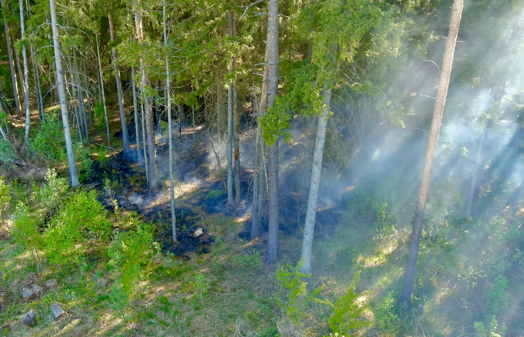 Клин, экология, пожары, леса