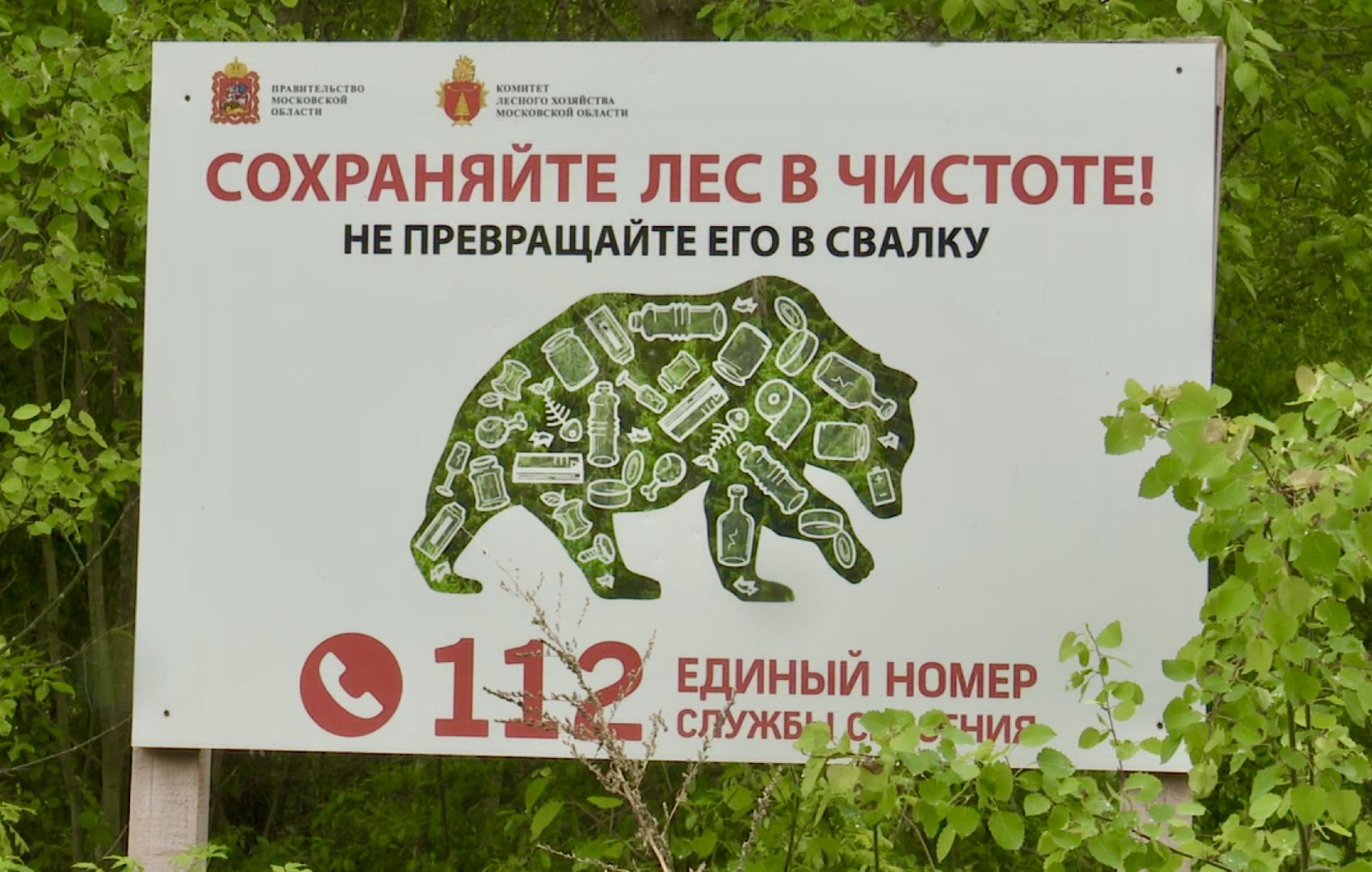 Клин, экология, пожары, леса