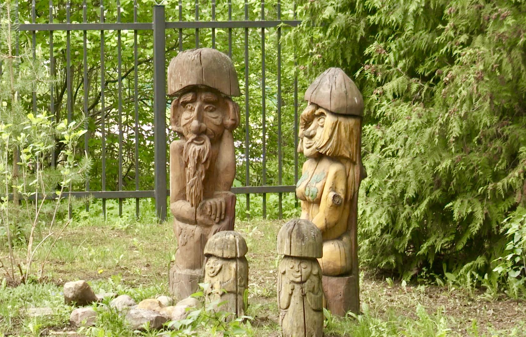 Клин, экология, пожары, леса