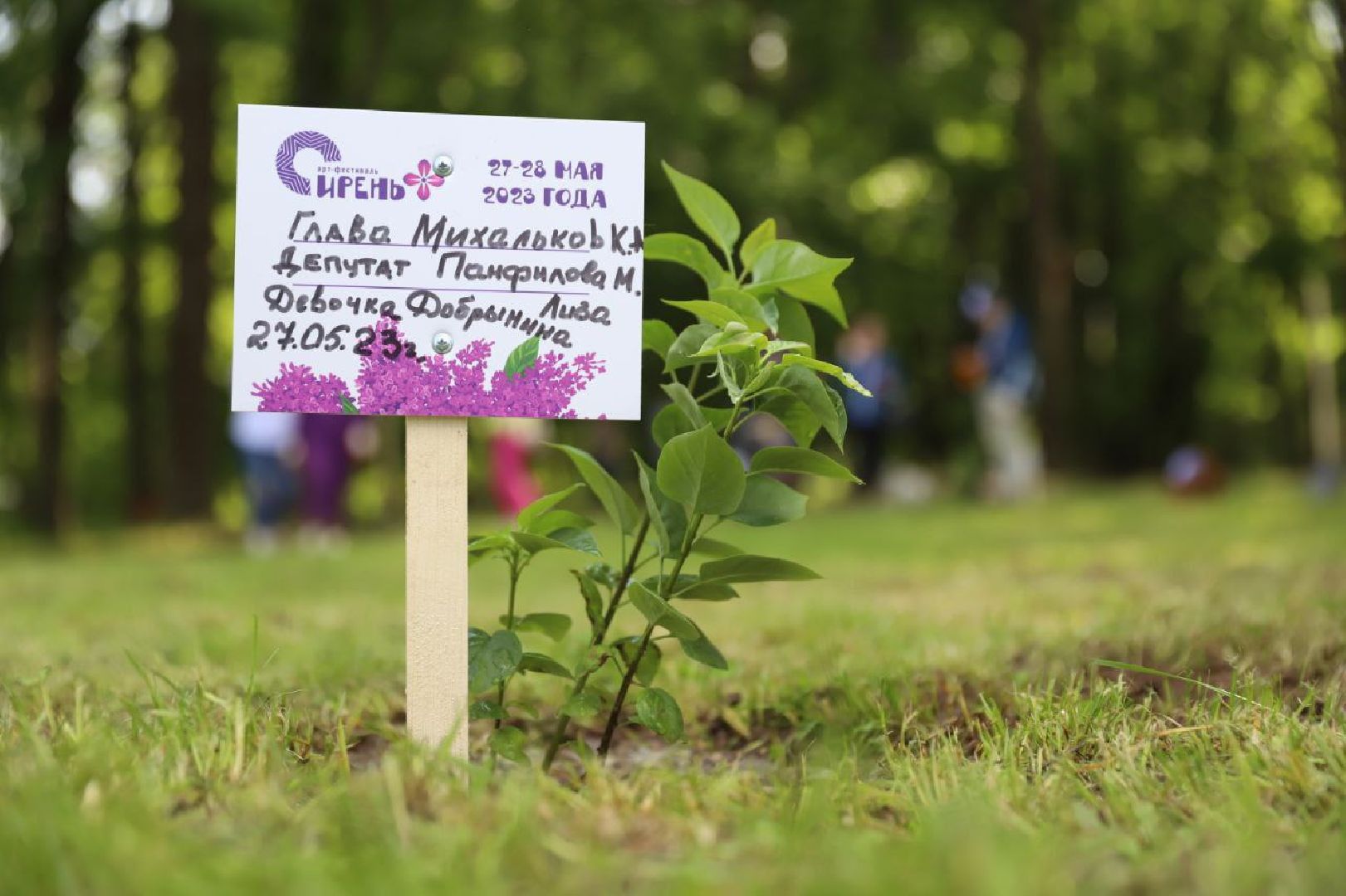 Солнечногорск, сирень, фестиваль, праздник, сиреневыйсад