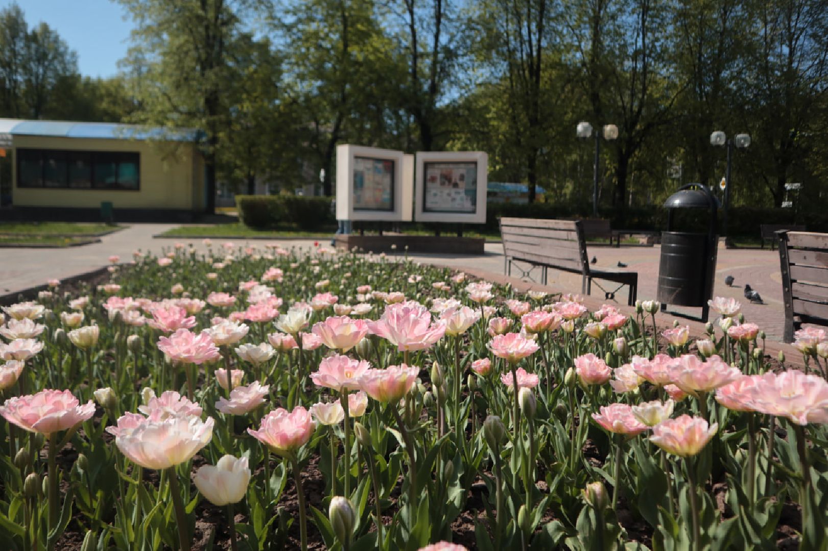 Пущино, благоустройство, экология