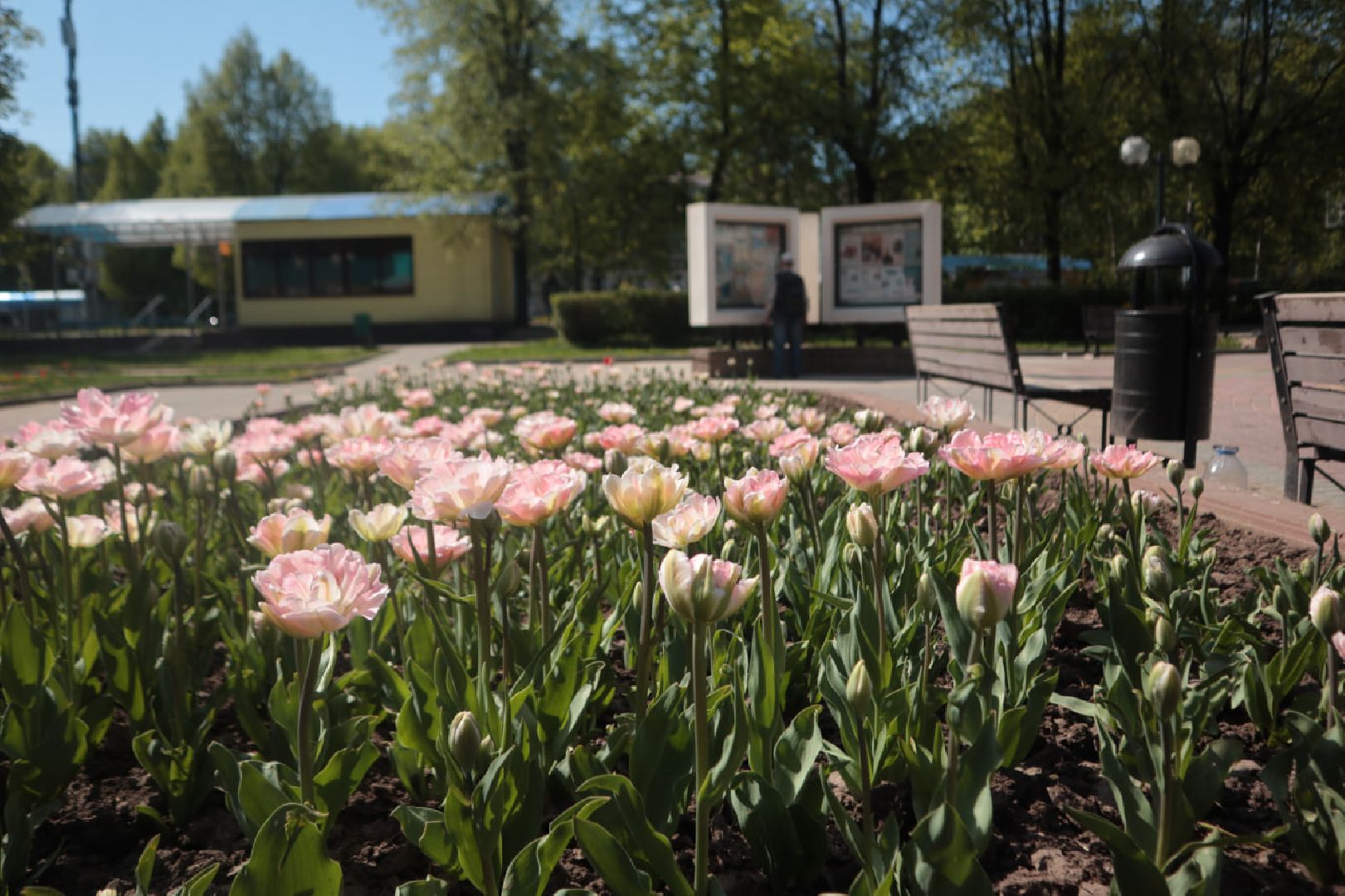 Пущино, благоустройство, экология