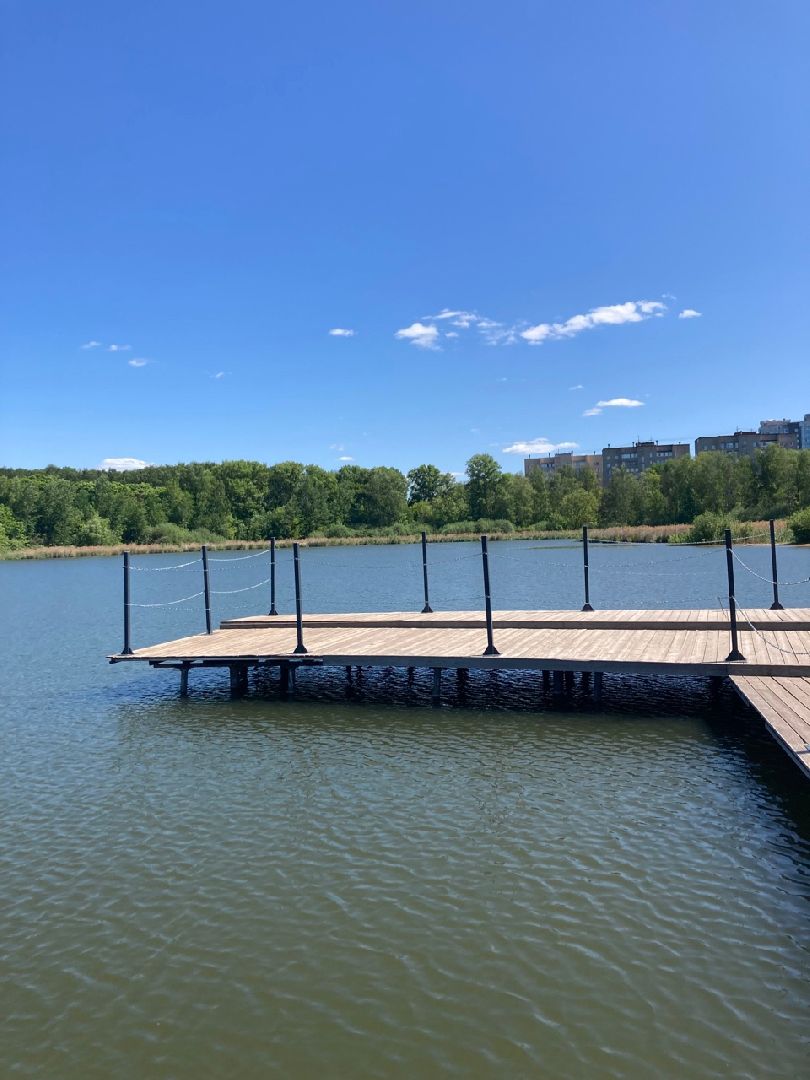 Солнечногорск, Сенеж, пляж, купальный сезон, безопасность