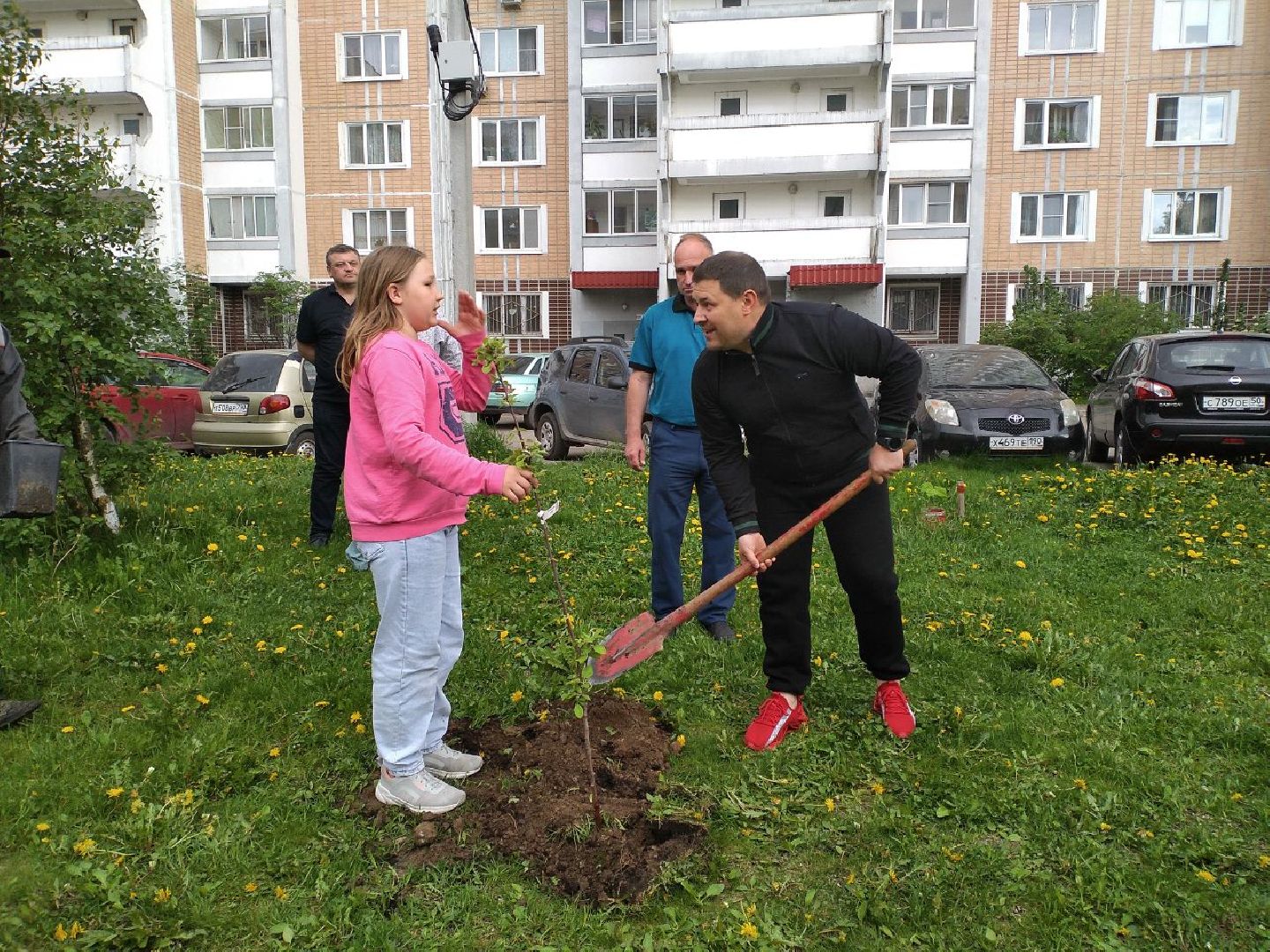 праздник, День соседей, управляющая компания, посадили саженцы, яблоня, Лосино-Петровский