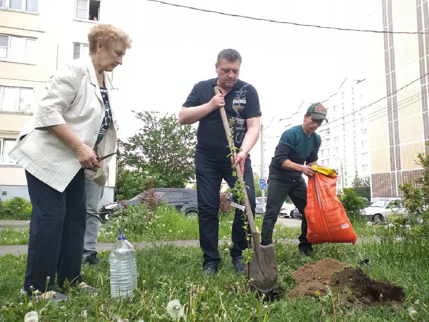 праздник, День соседей, управляющая компания, посадили саженцы, яблоня, Лосино-Петровский