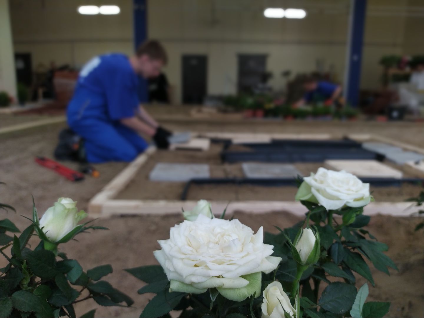 Ландшафт, дизайн, Абилимпикс, чемпионат