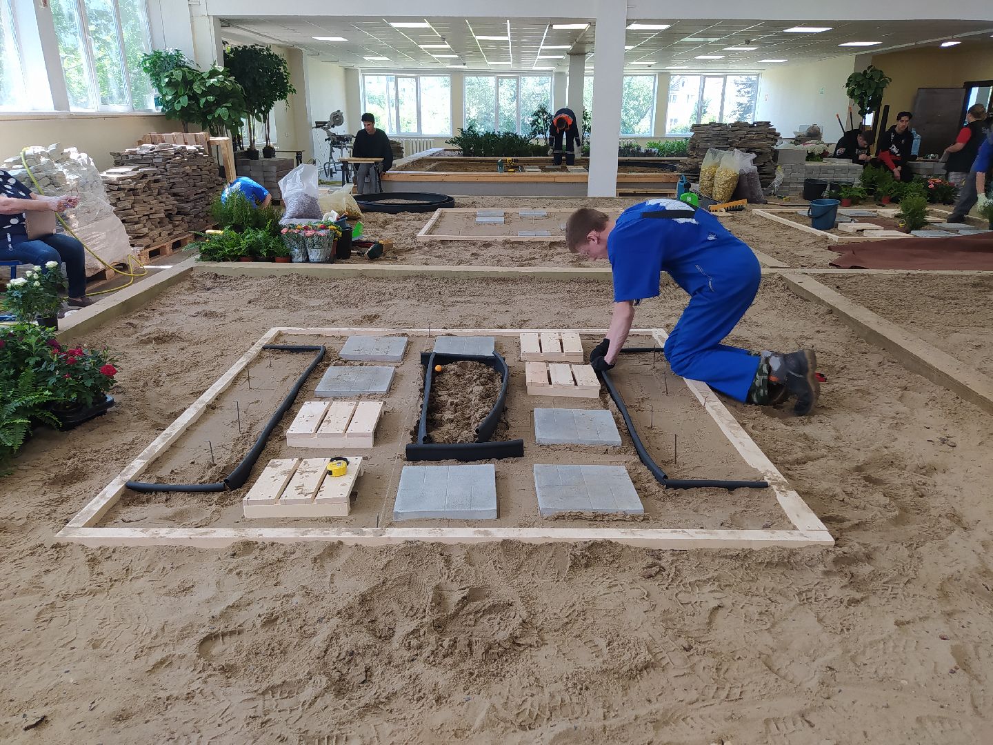 Ландшафт, дизайн, Абилимпикс, чемпионат