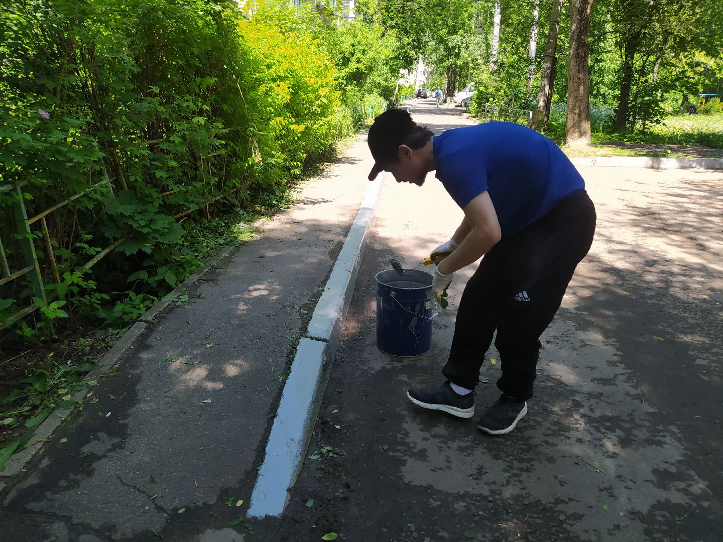 Покраска, бордюр, благоустройство