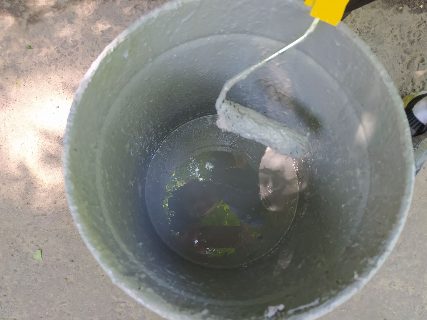 Покраска, бордюр, благоустройство