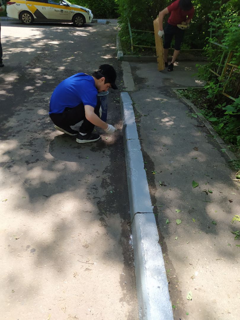 Покраска, бордюр, благоустройство