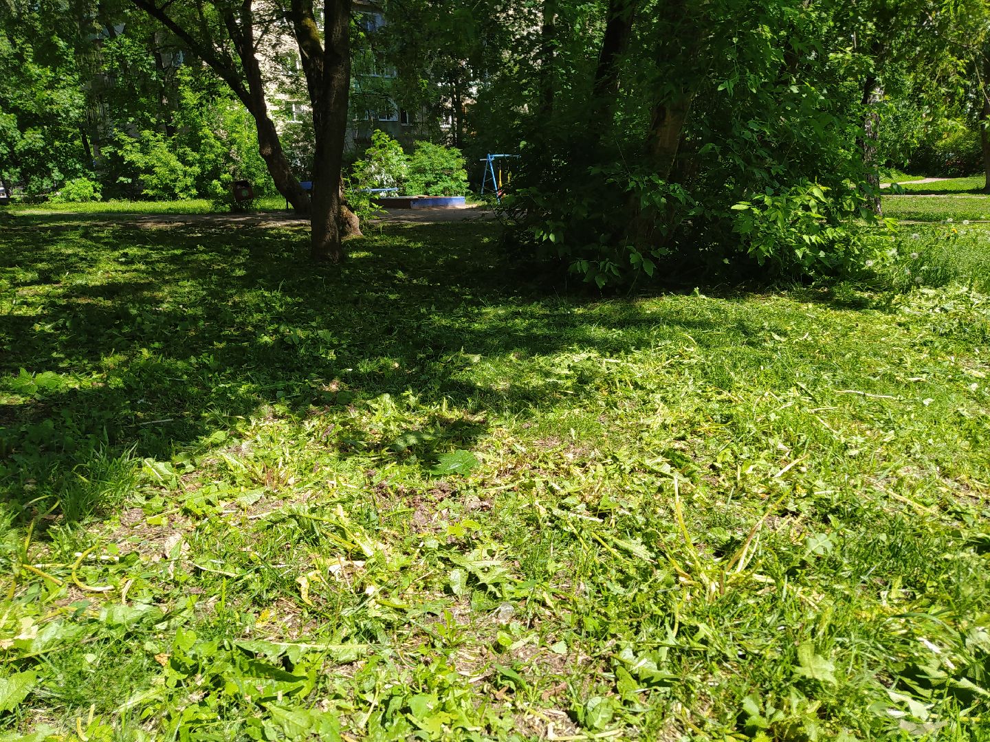 Газон, покос, газонокосилка, благоустройство, трава