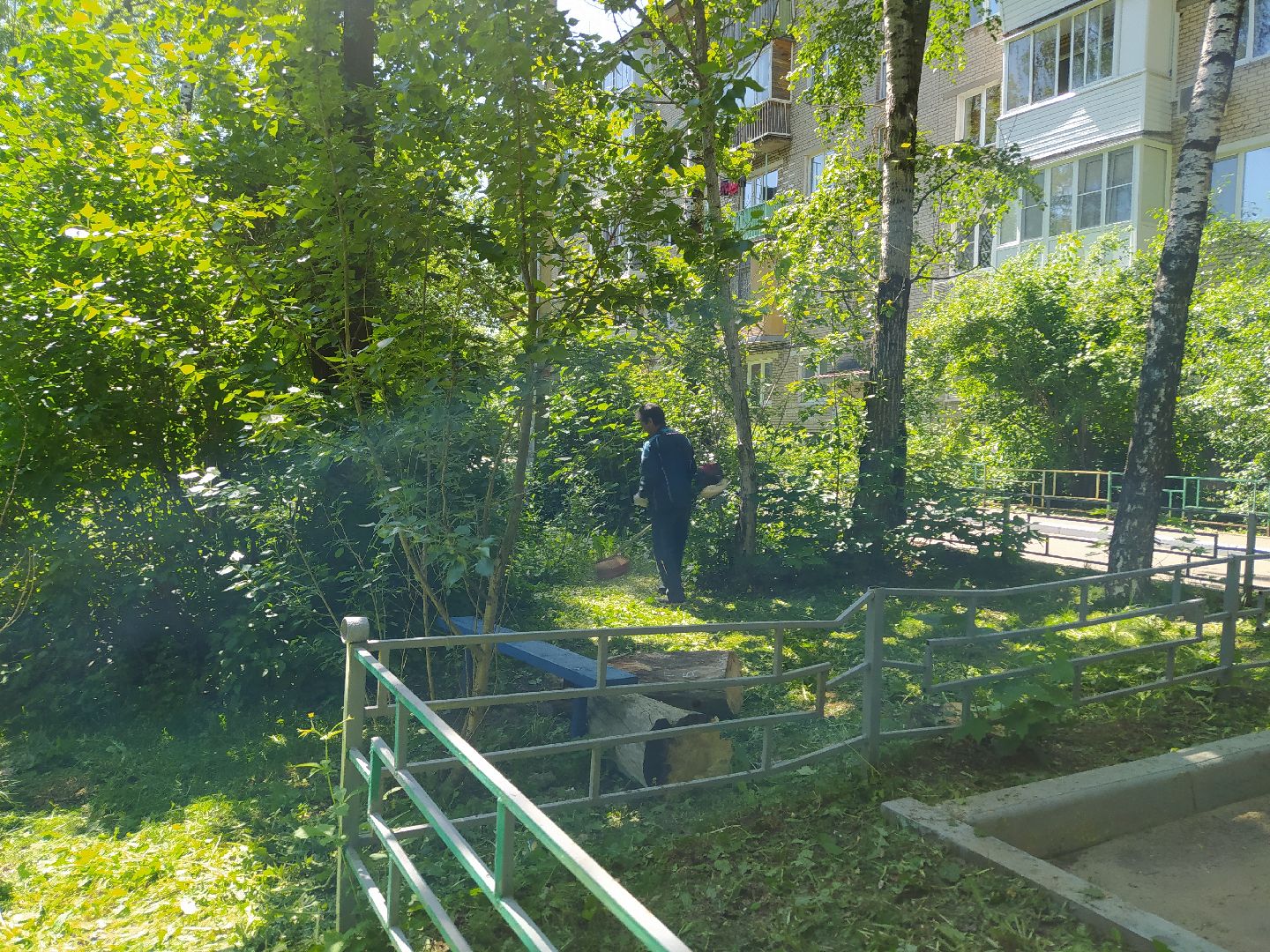 Газон, покос, газонокосилка, благоустройство, трава