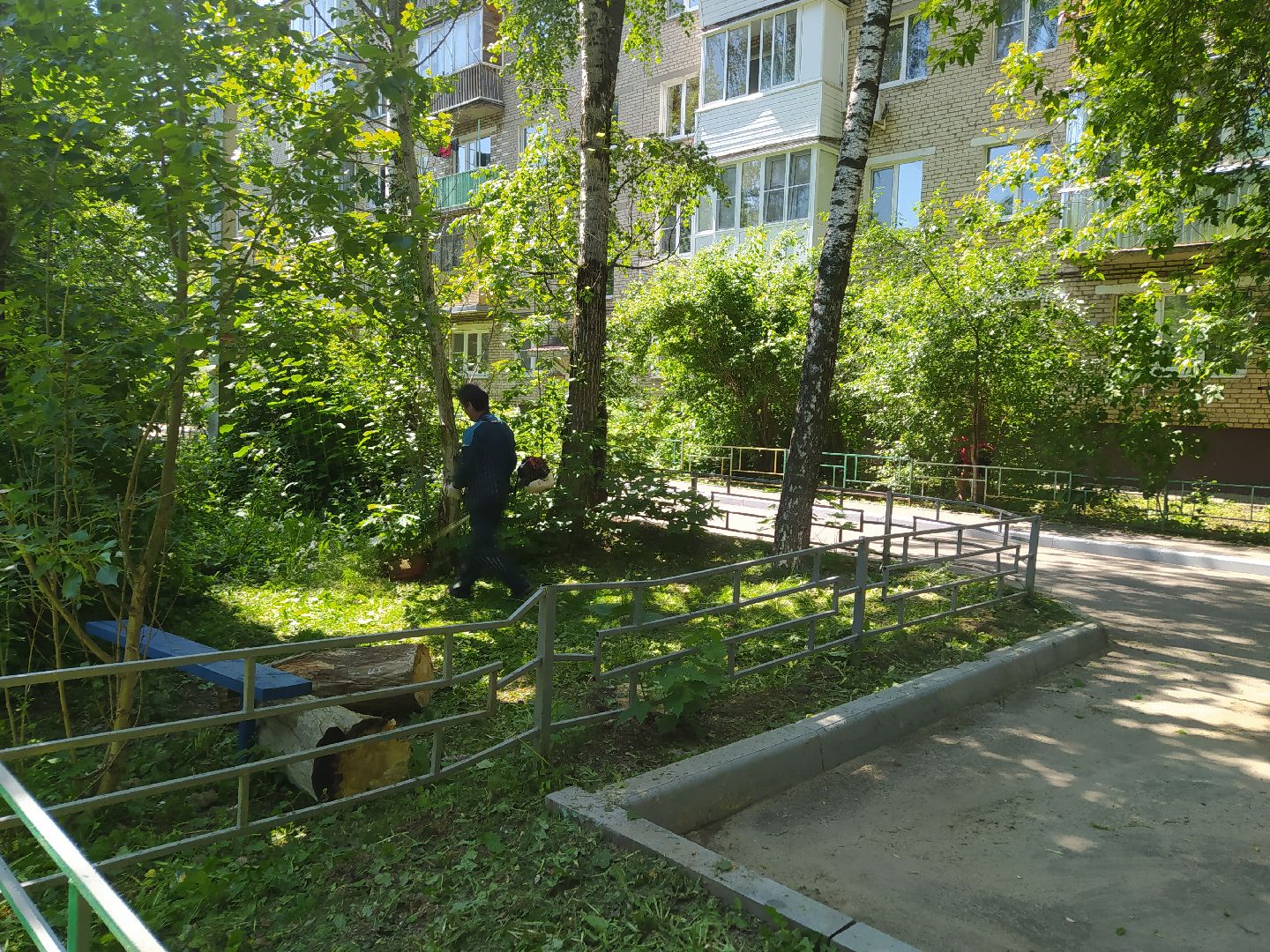 Газон, покос, газонокосилка, благоустройство, трава