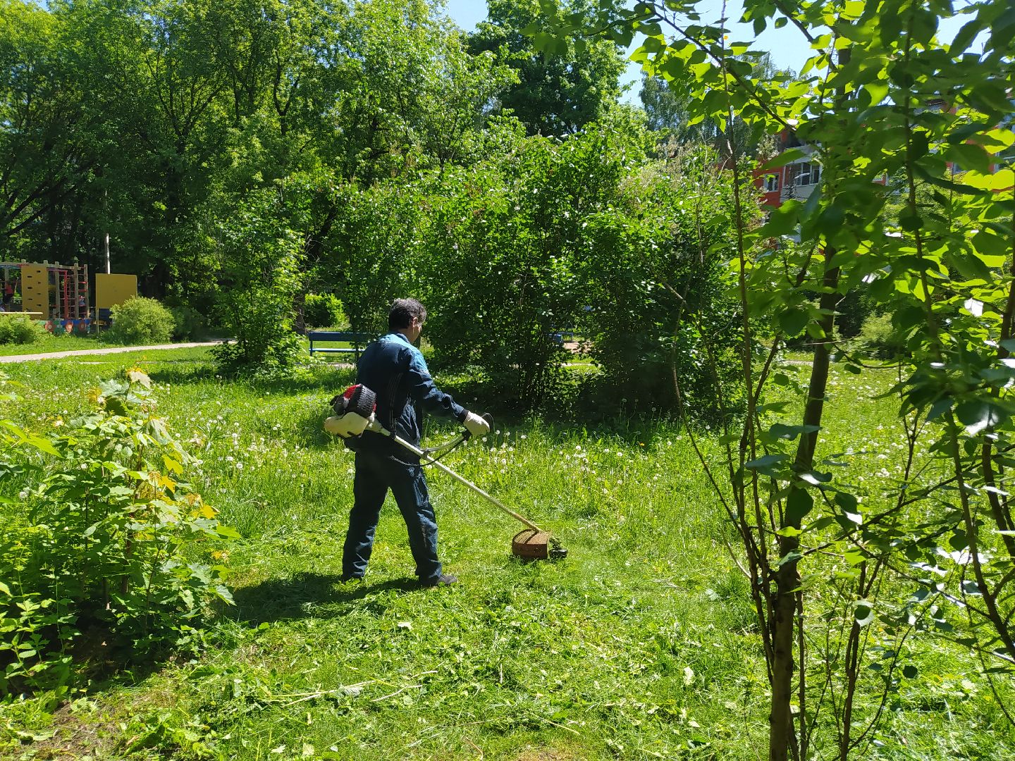 Газон, покос, газонокосилка, благоустройство, трава