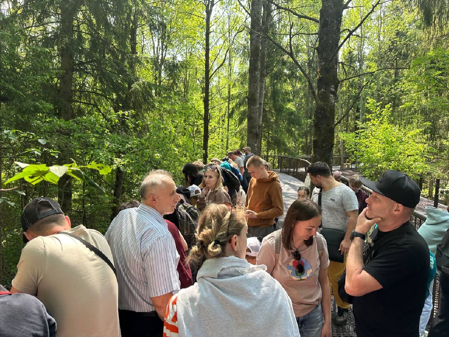 Можайск, Можайский городской округ, Подмосковье, тигр, лев, ягуар, сафари-парк, парк тигров