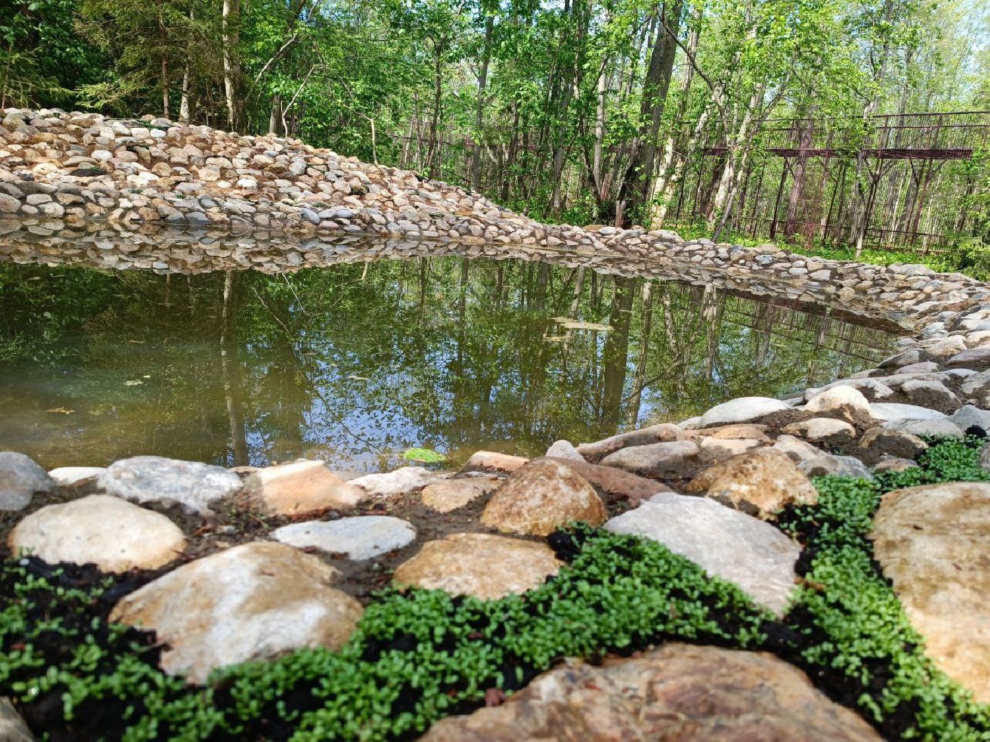 Можайск, Можайский городской округ, Подмосковье, тигр, лев, ягуар, сафари-парк, парк тигров