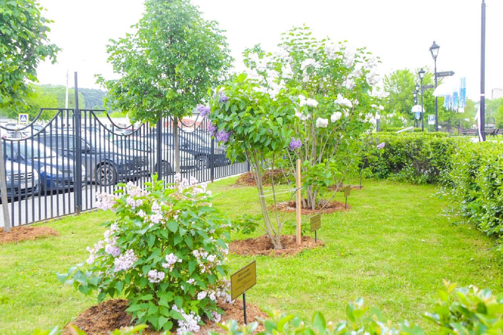 Подольск, фестиваль