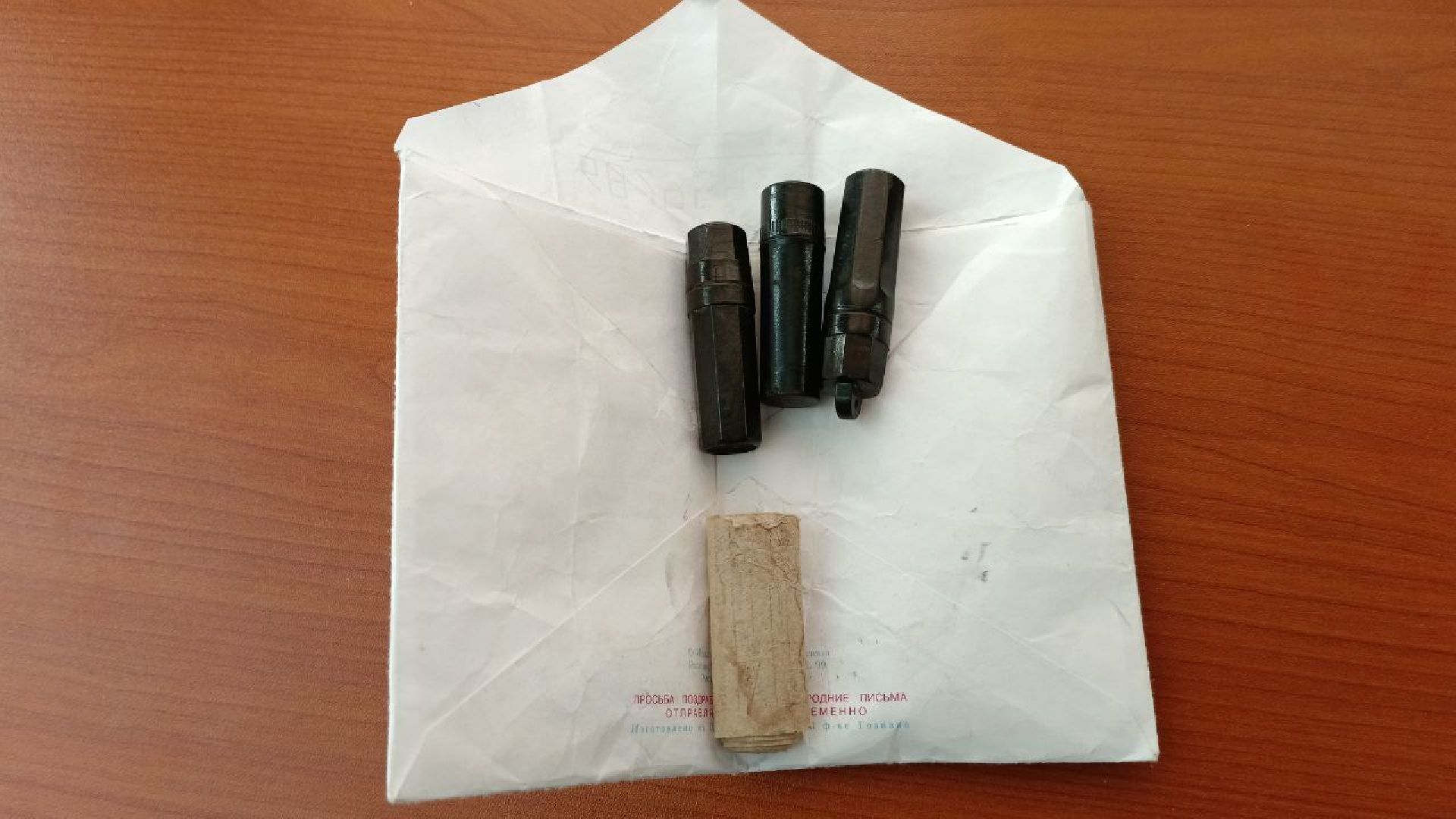 Поисковый отряд, Домодедово