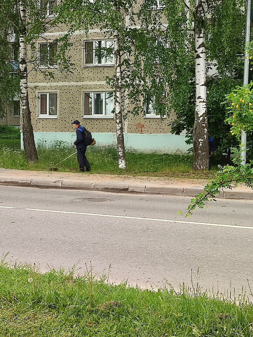 #благоустройство, #Талдом, #окружающаясреда, #уборкатерритории, #покостравы