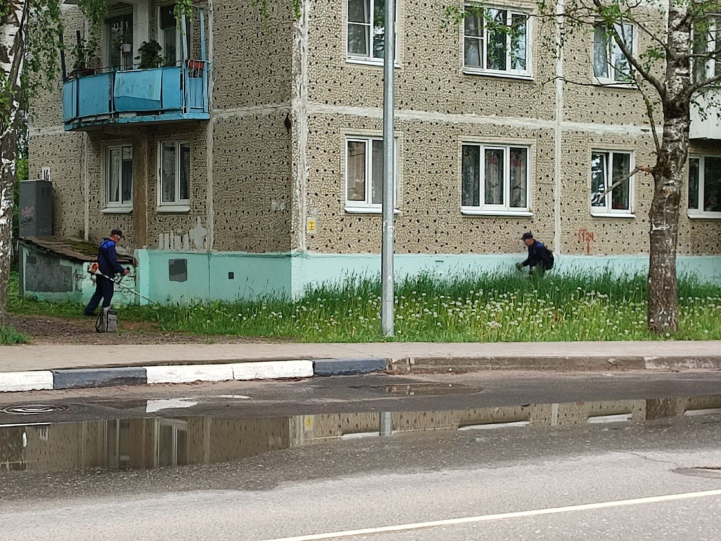 #благоустройство, #Талдом, #окружающаясреда, #уборкатерритории, #покостравы